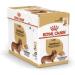 Royal Canin Breed Dachshund Wet Dog Pouches 85g (Pack of 24) - Buy Online on GoSupps.com