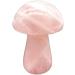 1-Pack Natural Large Green Pink Crystal Mushroom Polished Stones Beautiful Crystal Natural Luster (Color : Africa Blood Stone) - Buy Online on GoSupps.com