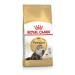 Royal Canin Persian Adult Cat Food 2kg (Pack of 2)