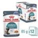 ROYAL CANIN Hairball Care In Jelly Adult Wet Cat Food (Pack of 24) - Buy Online on GoSupps.com