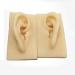 Artificial Human Ear Silicone Ear Model - Simulation Silicone Ear Model for Micro Plastic Surgery Module Pierced Ear Piercing Demonstration Teaching Props