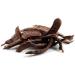 Carob bars Carob Pods 50g Locust Pods caroube carobe kharr b Organic Ceratonia siliqua St. John's bread - Buy Online on GoSupps.com