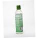 EDEN BodyWorks Peppermint Tea Tree Clear Clarifying Shampoo | 8 oz - Prevent Dandruff, Refresh Scalp, Remove Build Up | Packaging May Vary - Buy Online on GoSupps.com