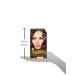 L'Oreal Paris Superior Preference 4B Burgundy - Fade-Defying Color & Shine | International Shipping Available - Buy Online on GoSupps.com
