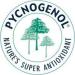 Pycnogenol 100mg - Vegan Extract from French Maritime Pine Bark - 30 Vegetable Capsules - No Magnesium Stearate - International Shipping Available - Buy Online on GoSupps.com
