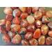 3 Pc Carnelian Small-Medium Crystal Tumble Stones - Buy Online on GoSupps.com