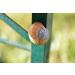 Set of 4 Geocaching Hiding Places - Snail Cap Nut Magnetic Nano & Screw with Log Strip | Perfect for Urban Adventures - Buy Online on GoSupps.com
