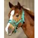 Monty Roberts Dually Head Collar XS - Premium Horse Training Gear | International Shipping Available - Buy Online on GoSupps.com