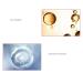 Hunmui Face Primer Pore Base Gel Cream - Anti-Aging & Pore Minimizing Primer - 1Pcs - Buy Online on GoSupps.com