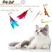 OODOSI Interactive Cat Wand Toy with 2 Poles & 9 Attachments - Fun Feather Toy for Indoor Kittens and Cats - Buy Online on GoSupps.com