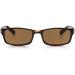 Buy Read Optics Reading Glasses +1 to +3.5 | Prescription & Non-Prescription Tinted Glasses - Rectangular Tort 1-Pack - Buy Online on GoSupps.com
