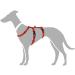 HUNTER Vario Rapid Safety Harness - Adjustable 38-52 cm | Red | International Shipping Available - Buy Online on GoSupps.com