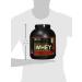 Optimum Nutrition 30th Birthday Bundle - Double Rich Chocolate Whey Gold Standard Protein (2273g) & Free Shaker - International Shipping Available - Buy Online on GoSupps.com