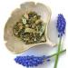 4 x 20 Sachets - Hampstead Tea London Lavender and Valerian Organic Herbal Infusion - Buy Online on GoSupps.com