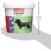Beaphar Lactol Milk Supplement for Puppies 1 kg 1 kg (Pack of 1) Pack of 1 - Buy Online on GoSupps.com