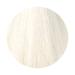 Vitality Hair Color Art Absolute Colour Cream 10/1 - Premium Swedish Ash Blonde for Vibrant Hair | International Shipping Available - Buy Online on GoSupps.com