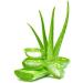 Aloe Vera Powder 100% Pure | Natural Herbal Power for Drink Mix Smoothies Face & Hair Care - Buy Online on GoSupps.com