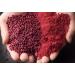 Herbal Cure Red Rice (Red Yeast Rice) 454g - Natural Vegan - Product of China - Buy Online on GoSupps.com