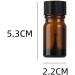 JIHUOO 5ml Empty Nail Polish Bottles - Glass Nail Polish Containers with Brush - Pack of 5 - Buy Online on GoSupps.com