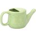 Anicent Impex Ceramic Neti Pot Spill Proof with 5 Sachets Neti Salt - Green Frackle Color Holds 400 ML (13.5 FL Oz) - Buy Online on GoSupps.com