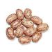 Organic Non-GMO Pinto Beans - 5 Pounds Dried Bulk USA Product - Buy Online on GoSupps.com