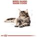 Royal Canin Maine Coon Adult Cat Food 85g x 24 - Buy Online on GoSupps.com