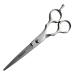 Awans Professional Hairdressing Barber Salon Scissors 5.5"