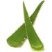 Veenas Fresh Aloe Vera Leaves | 1 Piece | Improve Skin and Prevent Wrinkles | Aloe Vera Juice Source of Antioxidants| Fresh Leaf | Indian Origin Leaf 1Pcs - Buy Online on GoSupps.com