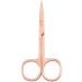 IOIUSKKU 2 Set of Nail Cuticle Nippers Stainless Steel Scissors Electroplating Convenient Trimming Tool Nose Hair Tweezer Plated Rose Gold Plated Rose Gold 2Set - Buy Online on GoSupps.com