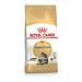 Royal Canin Maine Coon Adult Dry Cat Food 400g