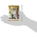 Premium Cocoa Metabolism Booster - Herbal Extracts for Maximum Control - 30 ct - Buy Online on GoSupps.com