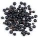 Organic Certified Rawseed Black Lentils - Non-GMO, 2 lbs - Grown in Canada, Packaged in USA - Buy Online on GoSupps.com