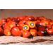 Praise Red Palm Oil 2-Liters - Zomi: Pure and Sustainable Cooking Oil - Buy Online on GoSupps.com