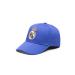 Fan Ink Limited unisex-adult Basic Adjustable Hat One Size Team Color