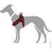 HUNTER Neoprene Vario Quick Harness 55-70 cm - Red/Black Reflective Nylon for Dogs | International Shipping - Buy Online on GoSupps.com