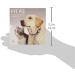 Petkit P2 Smart Activity Tracker - Gold, One Size - Buy Online on GoSupps.com