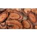 Instant Coffee | Energy Coffee | Herbal Coffee - Buy Online on GoSupps.com