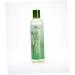 EDEN BodyWorks Peppermint Tea Tree Clear Clarifying Shampoo | 8 oz | Refresh Scalp Remove Build Up Prevent Dandruff - Packaging May Vary