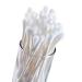 Premium Cotton Swabs for Sensitive Skin - Eco-Friendly & Durable | International Shipping Available - Buy Online on GoSupps.com