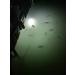 Green Blob Outdoors 15000 Lumen White Underwater Fishing Light with Timer - Submersible LED Fish Attractor for Crappie, Snook, Bass, and Diving - 30ft Cord, 3-Prong Plug - Buy Online on GoSupps.com