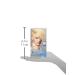 L'Oreal Paris Feria 11.11 Icy Blonde Permanent Hair Color - Ultra Cool Blonde Dye - Buy Online on GoSupps.com