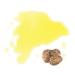 Roland Foods Organic White Truffle Flavored Extra Virgin Olive Oil - 100% Pure White Truffle Infusion for Rich Flavor - Buy Online on GoSupps.com