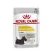 Royal Canin Dermacomfort Wet Pouches Adult Dog Food 85g (Pack of 48)