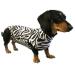MPS Medical Pet Shirt Hund Zebra Print XXS