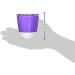 Munchkin Splash Open Toddler Cups 7oz Multicolored 4 Pack with Training Lids - Buy Online on GoSupps.com