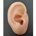 Fhuili EAR Model - Soft Silicone Simulation Ear for Acupuncture Ear Picking Practice & Earring Display Props - Buy Online on GoSupps.com