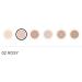 Radiant Professional Maxi Coverage Powder - Vitamin C SPF 15 Full Coverage Matte Makeup - Moisture Retaining - Rosy (02 - Buy Online on GoSupps.com