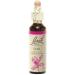 Bach Original Flower Remedies Oak 20mL Dropper - Endurance & Strength | Vegan Homeopathic Essence for Stress Relief - Buy Online on GoSupps.com