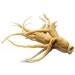 Siberian Ginseng Root Tea | Eleutherococcus Senticosus | Racine De Ginseng Sib rien Tisane | Health Embassy (100g) 100 g (Pack of 1) - Buy Online on GoSupps.com