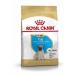 Royal Canin Pug Puppy Complete Dry Dog Food 1.5kg